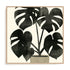 Plantling II Wall Art