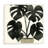 Plantling II Wall Art