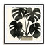 Plantling II Wall Art