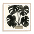 Plantling II Wall Art