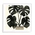 Plantling II Wall Art