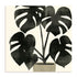 Plantling II Wall Art