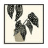Plantling III Wall Art
