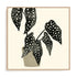 Plantling III Wall Art