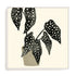 Plantling III Wall Art