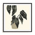 Plantling III Wall Art