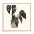 Plantling III Wall Art