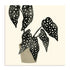 Plantling III Wall Art