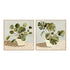 Plant on Stripes I and II Wall Art