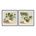 Plant on Stripes I and II Wall Art