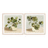 Plant on Stripes I and II Wall Art