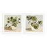 Plant on Stripes I and II Wall Art