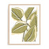Tropical Offset I Wall Art