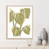Tropical Offset II Wall Art