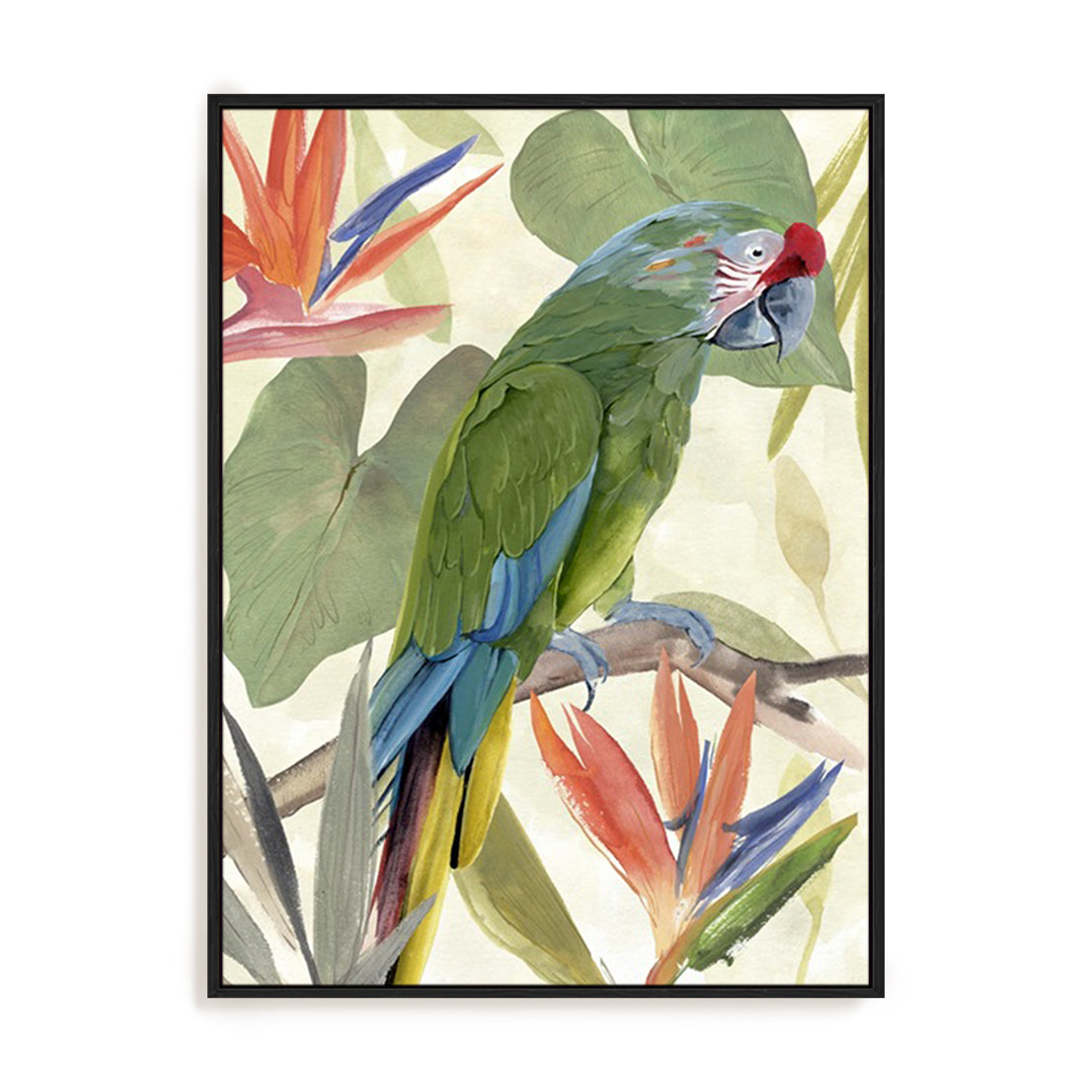 Tropical Parrot Composition I