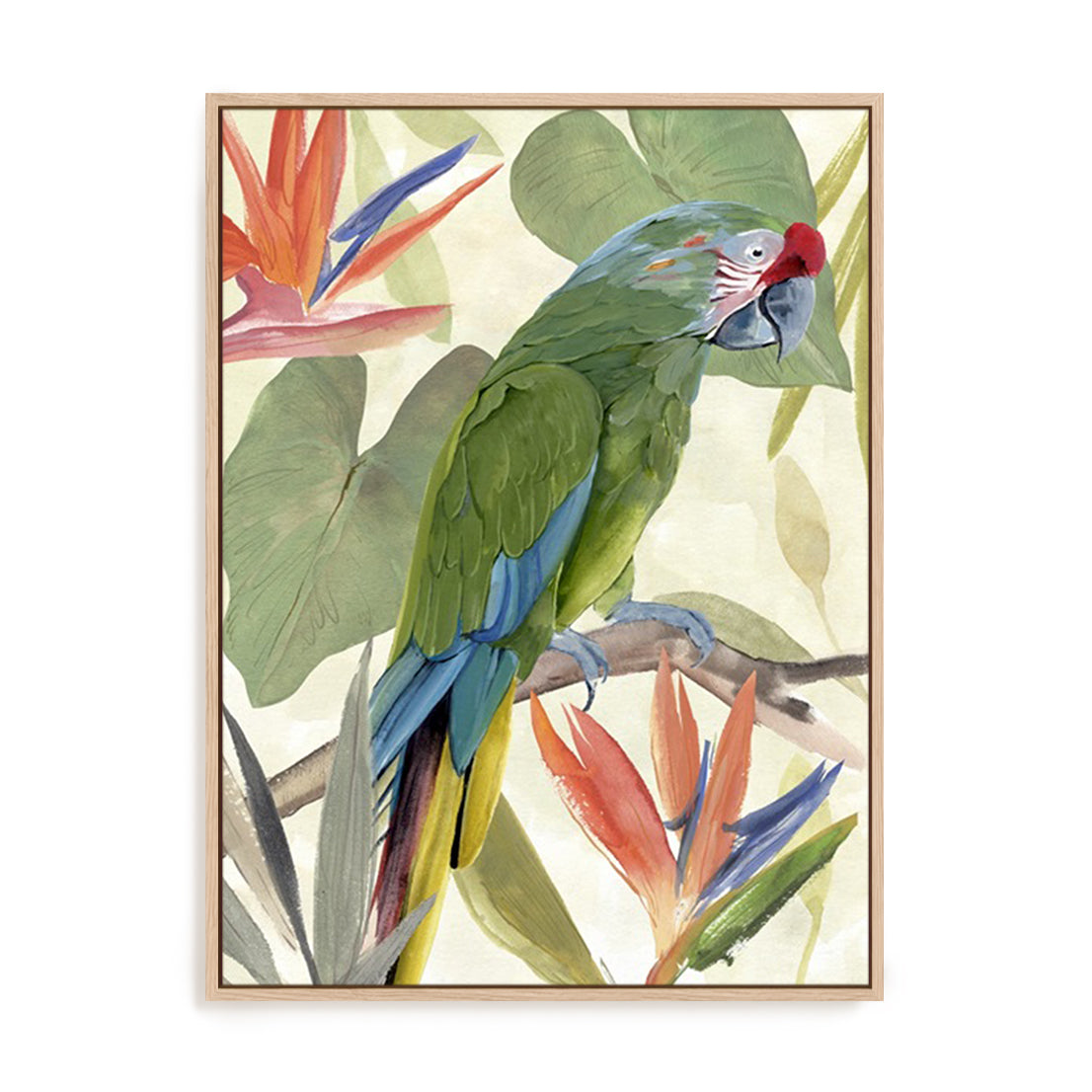 Tropical Parrot Composition I