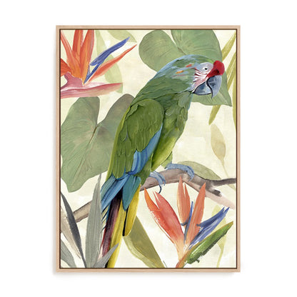 Tropical Parrot Composition I