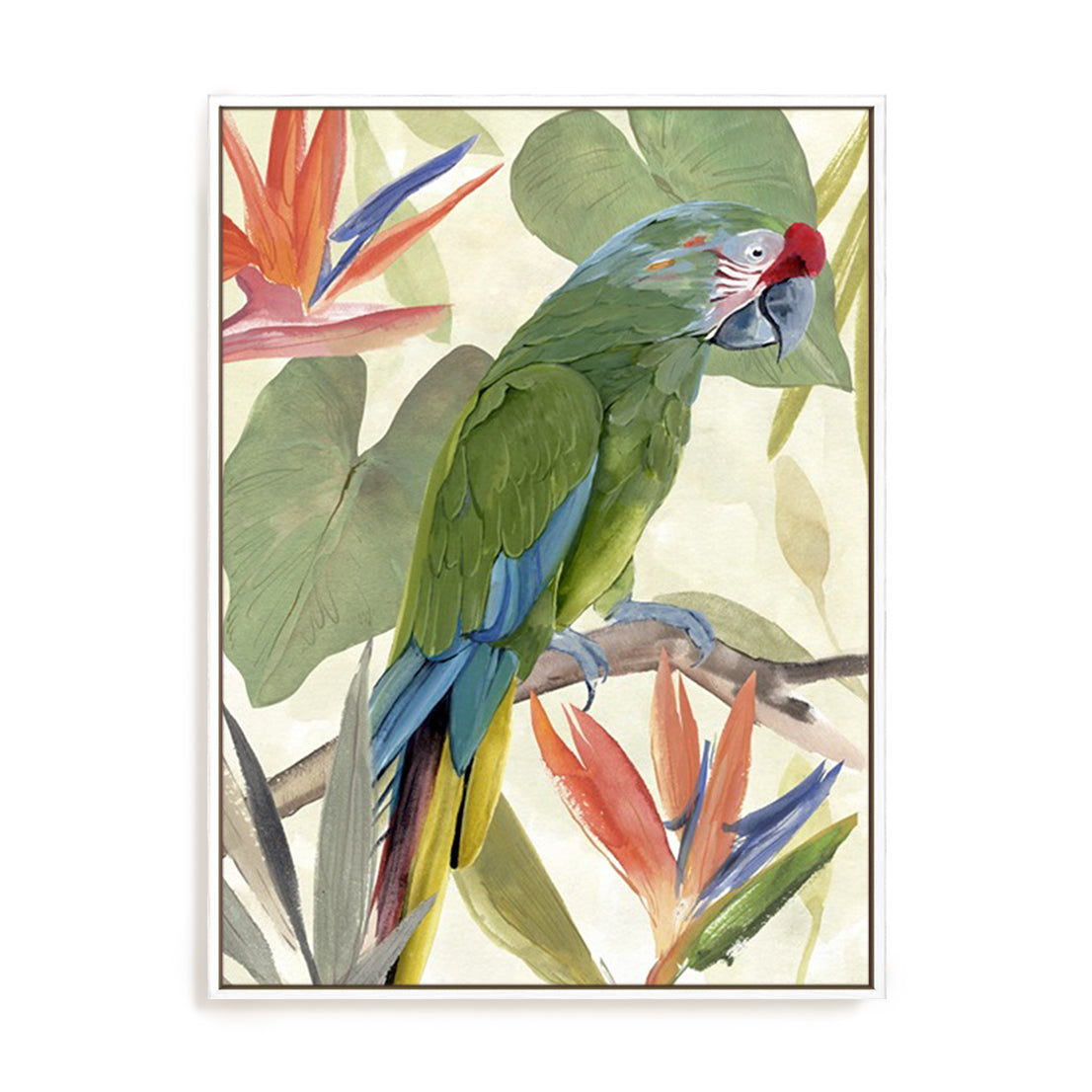 Tropical Parrot Composition I