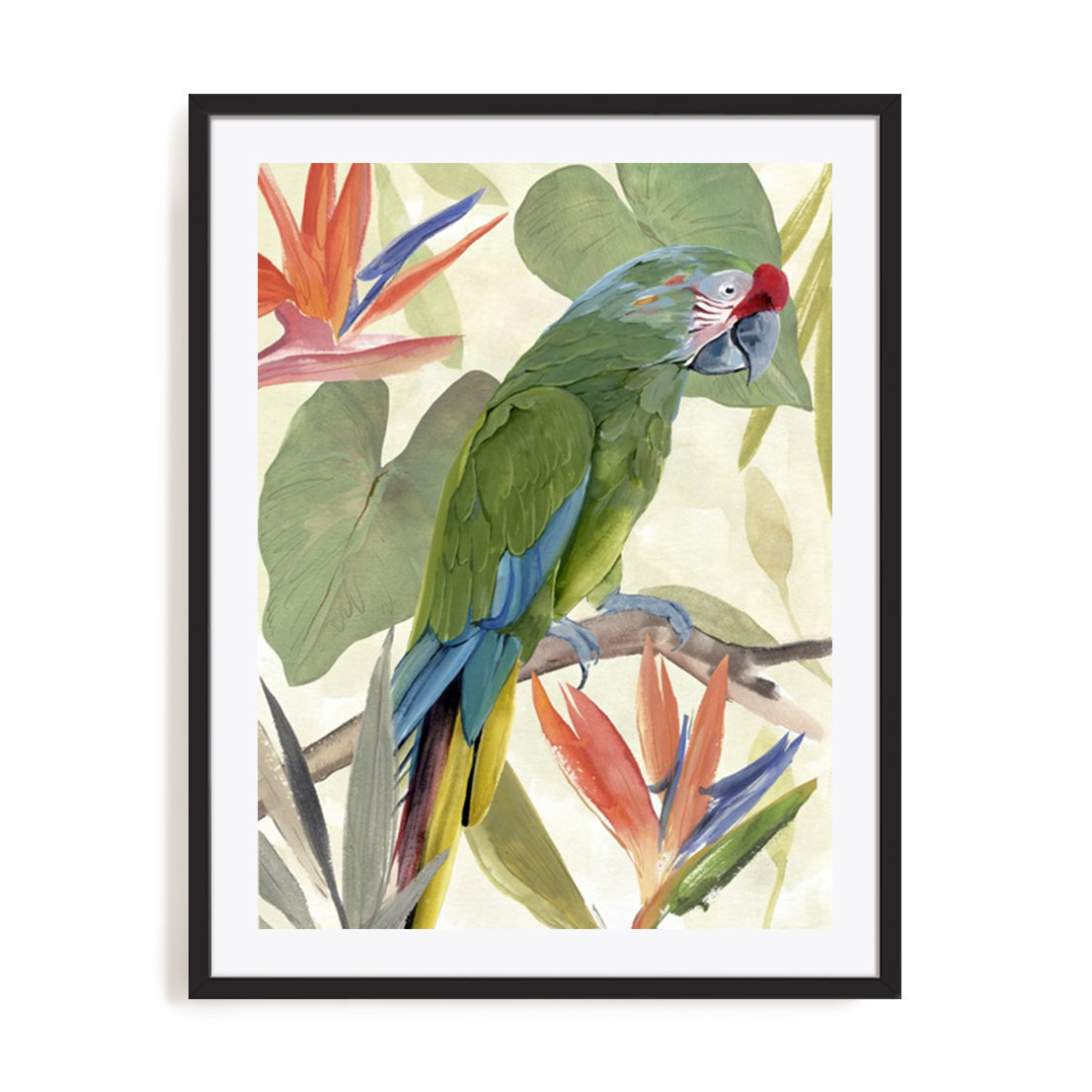 Tropical Parrot Composition I