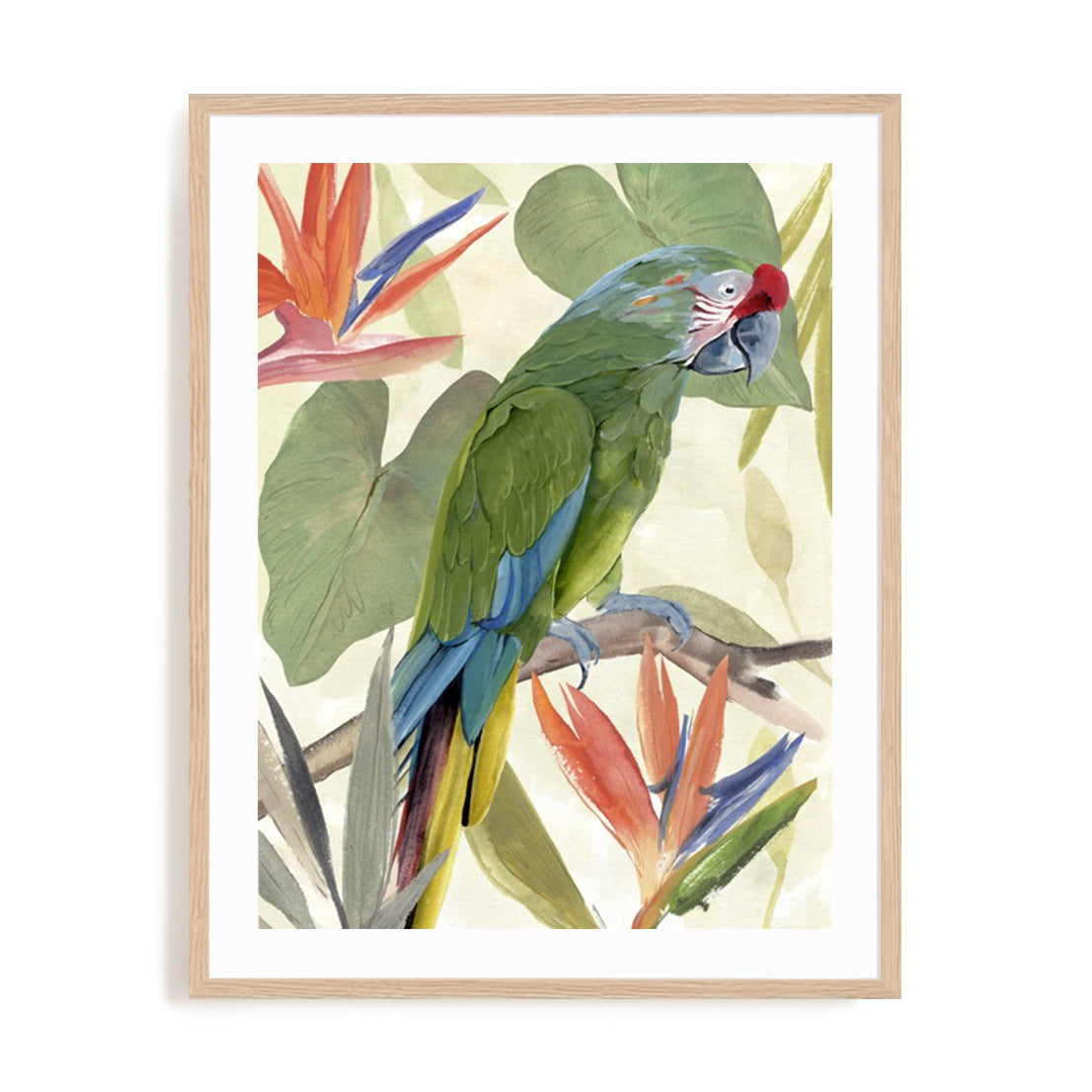 Tropical Parrot Composition I