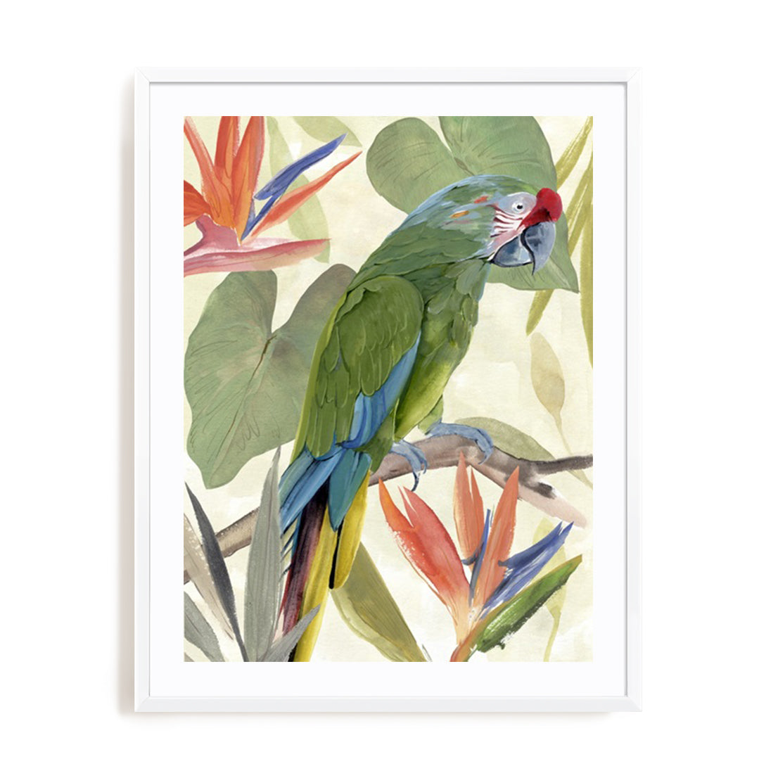 Tropical Parrot Composition I