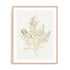 Gilded Algae III Wall Art