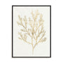 Gilded Algae VI Wall Art