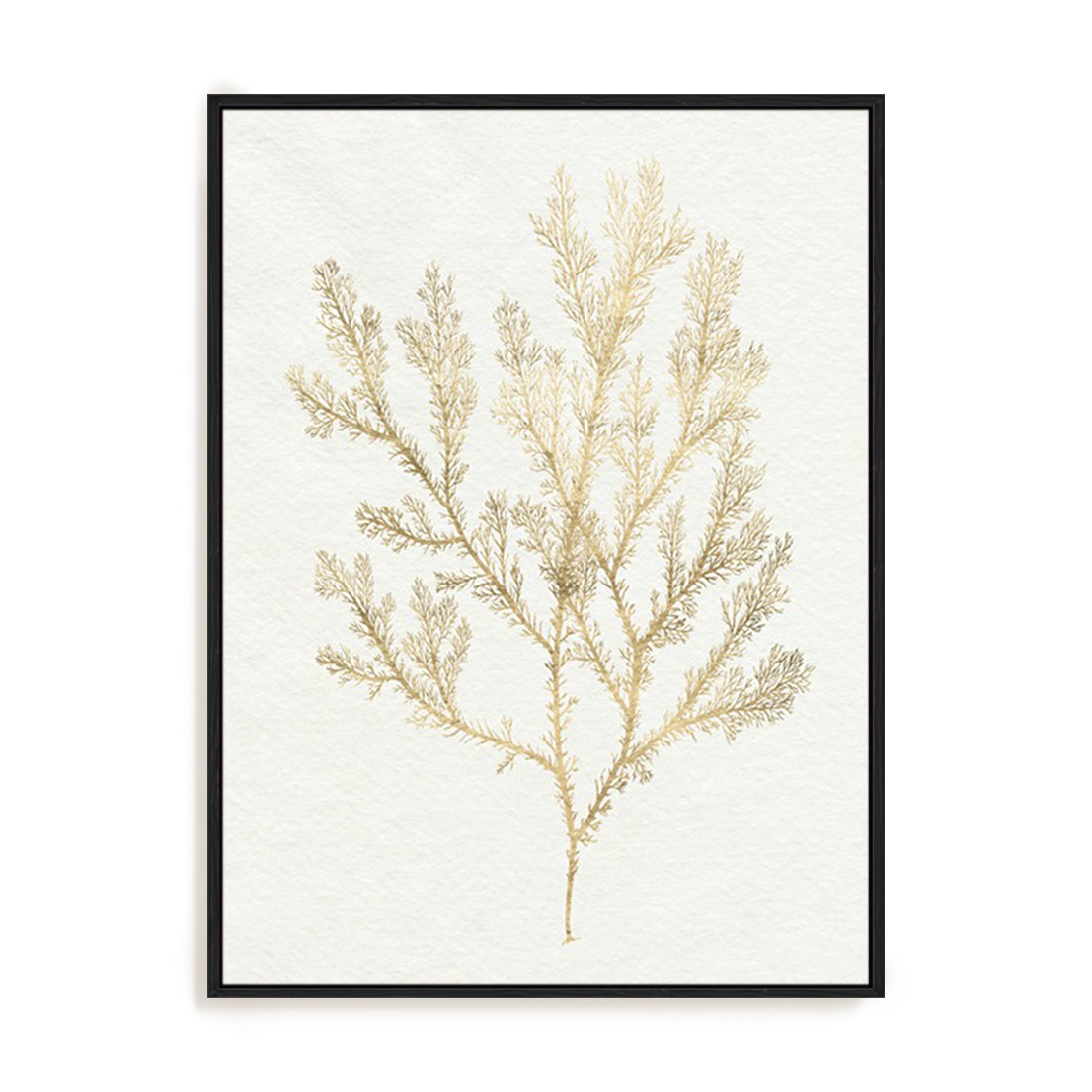 Gilded Algae VI Wall Art