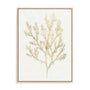 Gilded Algae VI Wall Art