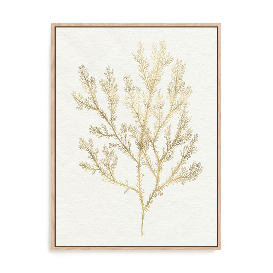 Gilded Algae VI Wall Art