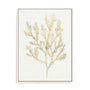 Gilded Algae VI Wall Art