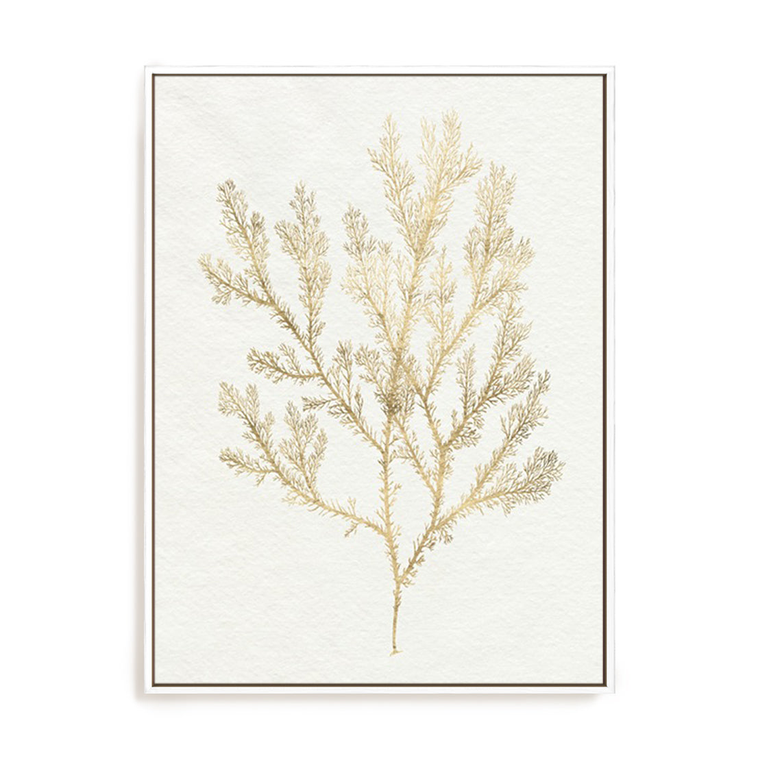 Gilded Algae VI Wall Art