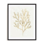 Gilded Algae VI Wall Art