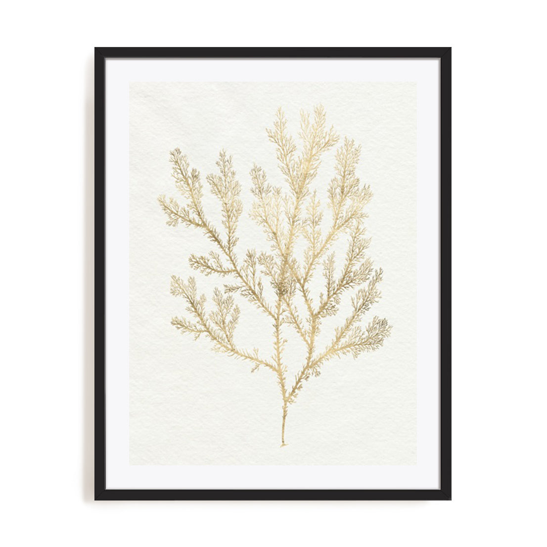 Gilded Algae VI Wall Art