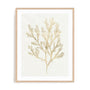 Gilded Algae VI Wall Art