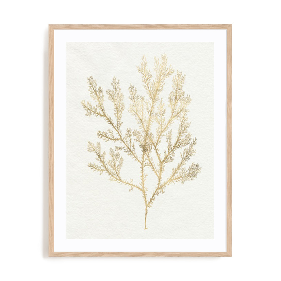 Gilded Algae VI Wall Art