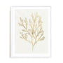 Gilded Algae VI Wall Art