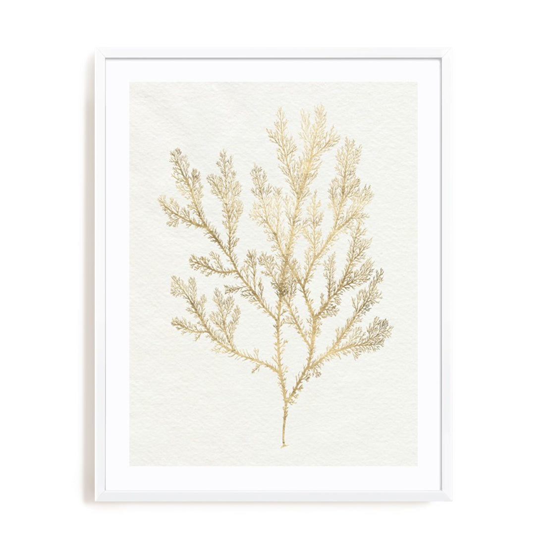 Gilded Algae VI Wall Art
