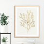 Gilded Algae VI Wall Art