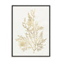 Gilded Algae VIII Wall Art