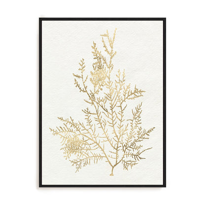 Gilded Algae VIII Wall Art