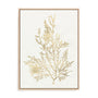 Gilded Algae VIII Wall Art