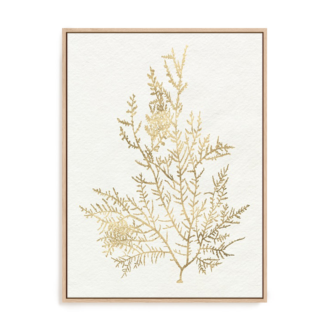 Gilded Algae VIII Wall Art