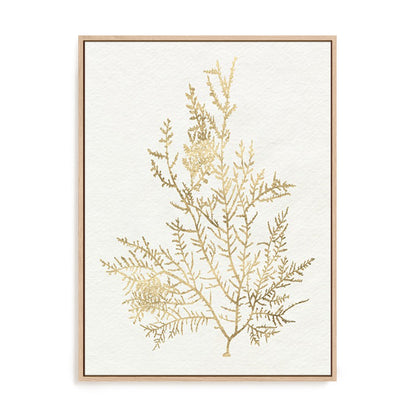 Gilded Algae VIII Wall Art