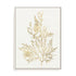 Gilded Algae VIII Wall Art