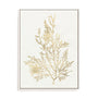 Gilded Algae VIII Wall Art