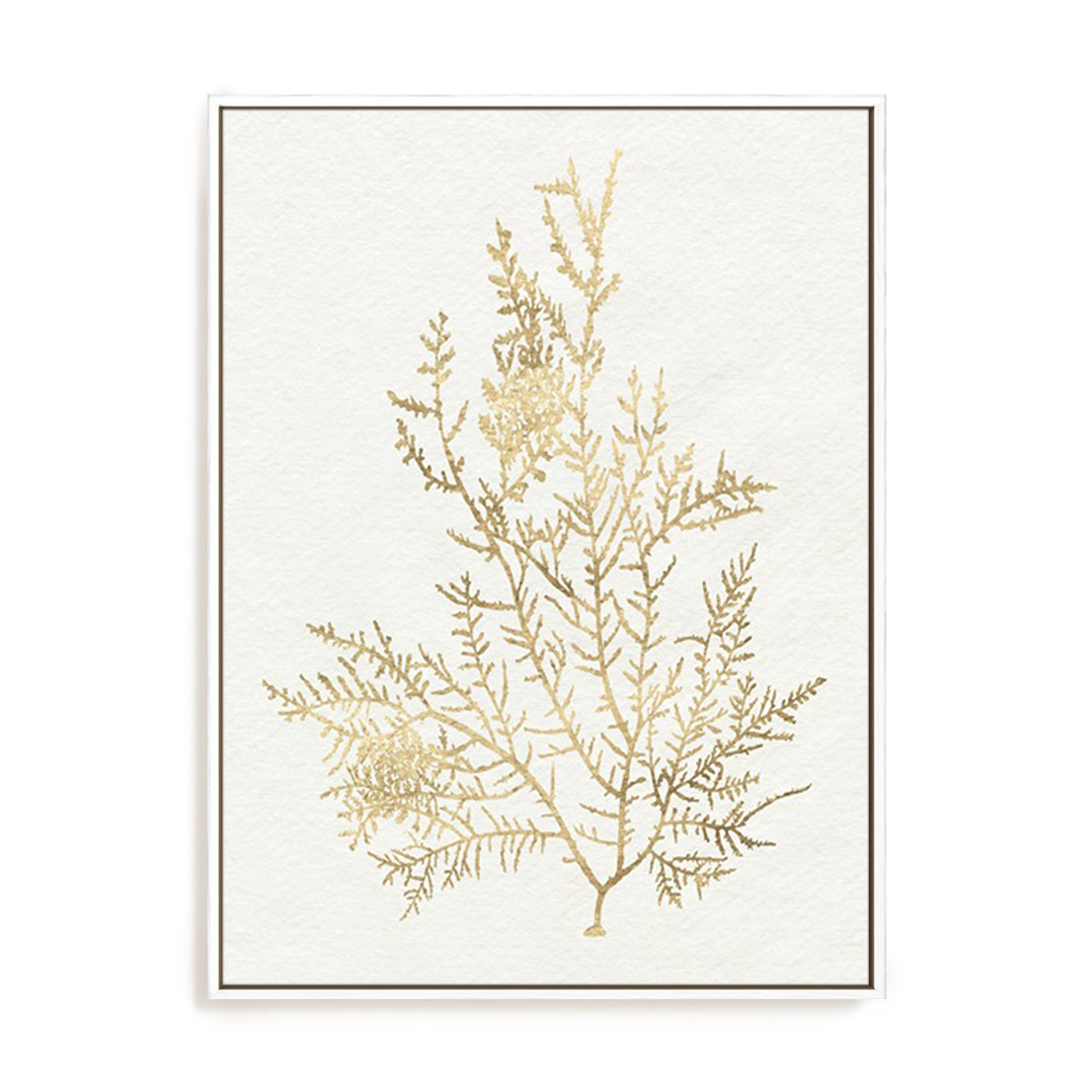 Gilded Algae VIII Wall Art