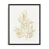 Gilded Algae VIII Wall Art