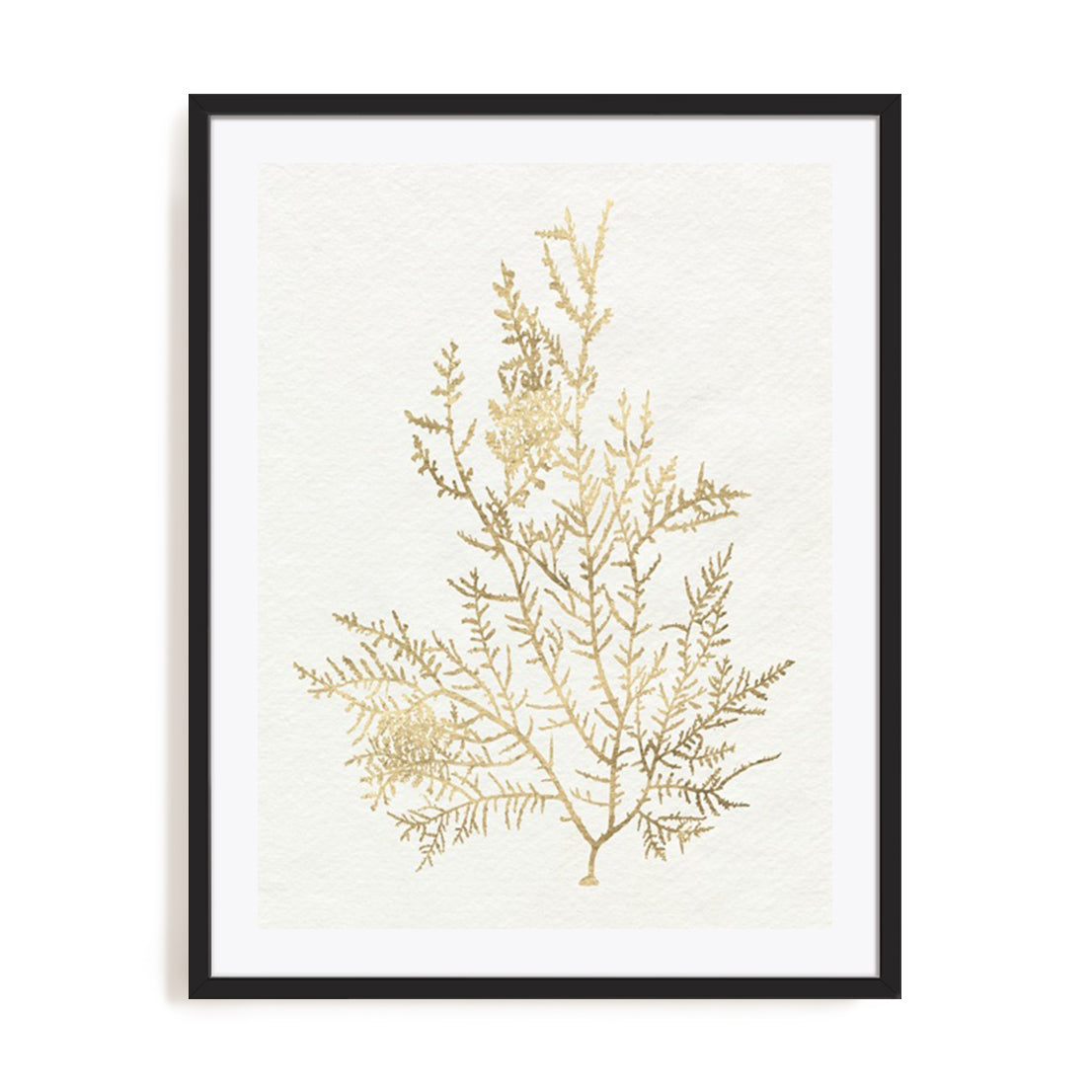 Gilded Algae VIII Wall Art