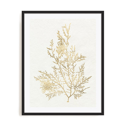 Gilded Algae VIII Wall Art